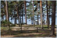 Trees and water Hanko Camping Silver Sand