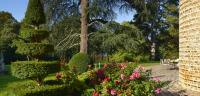 A piece of garden surrounding the castle.