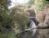 Nature and bridge