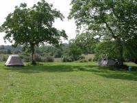 The deployed tents in the shadow of the trees on the terrain.