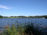 The lake