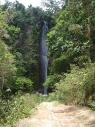 The beautiful waterfalls of Tabacón.