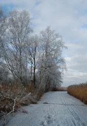 Belt-Schutsloot is a water-village in the province of Overijssel. Because of the water you can make nice trips by canoe or punt. But of course you can also walk or cycle. Overall a real sports town, with its many characteristic bridges.