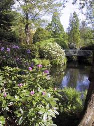 Gardens of Trompenburg.