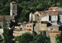 The village.