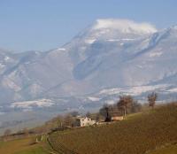 View on Casa Benamato