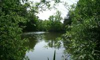 Fishing pond