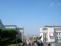 An overview of Brussels, with the Town Hall spire.