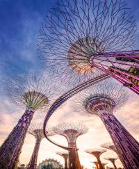 Super Tree Grove
