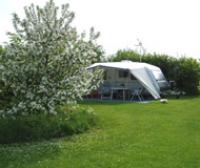 A pitch surrounded by trees on Camping Hoeve Vrij en Blij.