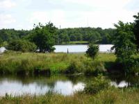 View from Camping De Witte Burch