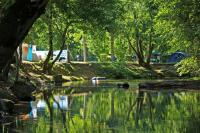 Campingsite under the trees in Camping Bel Ombrage.