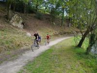 Cycling through the trees